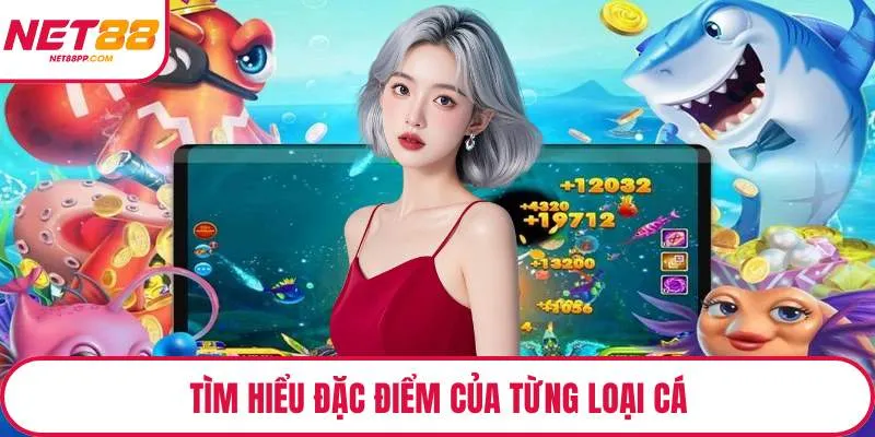 Tìm hiểu đặc điểm của từng loại cá