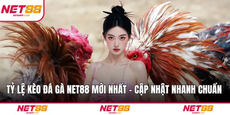 Tỷ Lệ Kèo Đá Gà NET88 Mới Nhất – Cập Nhật Nhanh Chuẩn Xác